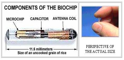 biochips-410-200